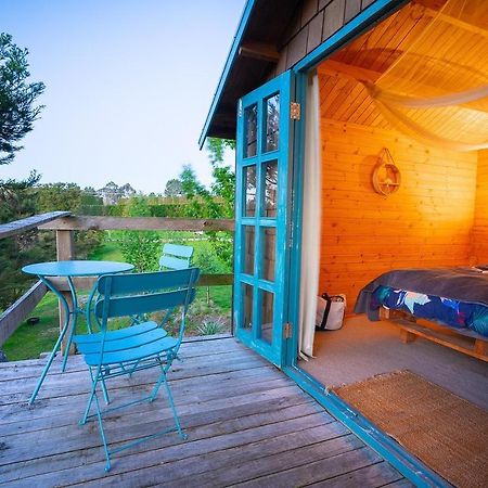 Aongatete Tui Ridge Eco Cabins מראה חיצוני תמונה
