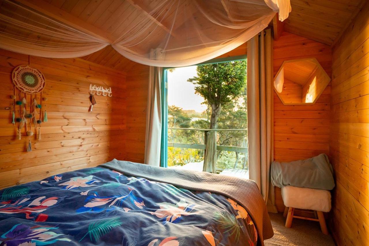 Aongatete Tui Ridge Eco Cabins מראה חיצוני תמונה