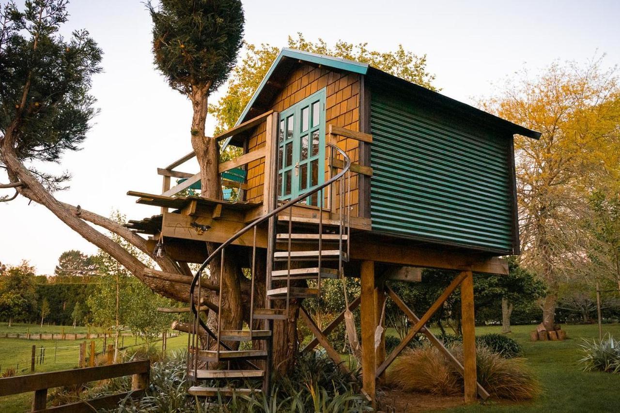 Aongatete Tui Ridge Eco Cabins מראה חיצוני תמונה