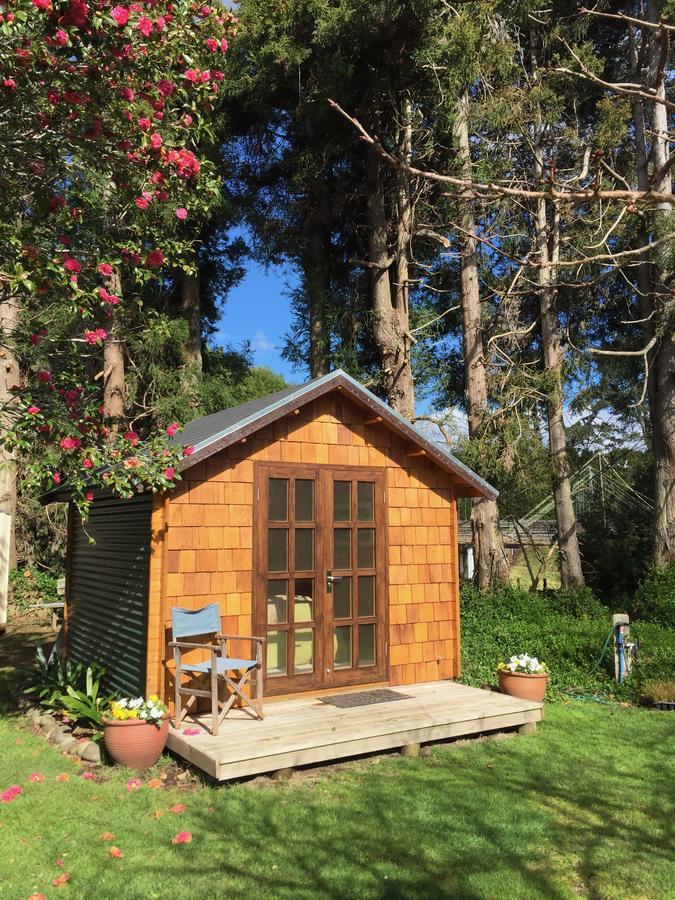 Aongatete Tui Ridge Eco Cabins מראה חיצוני תמונה