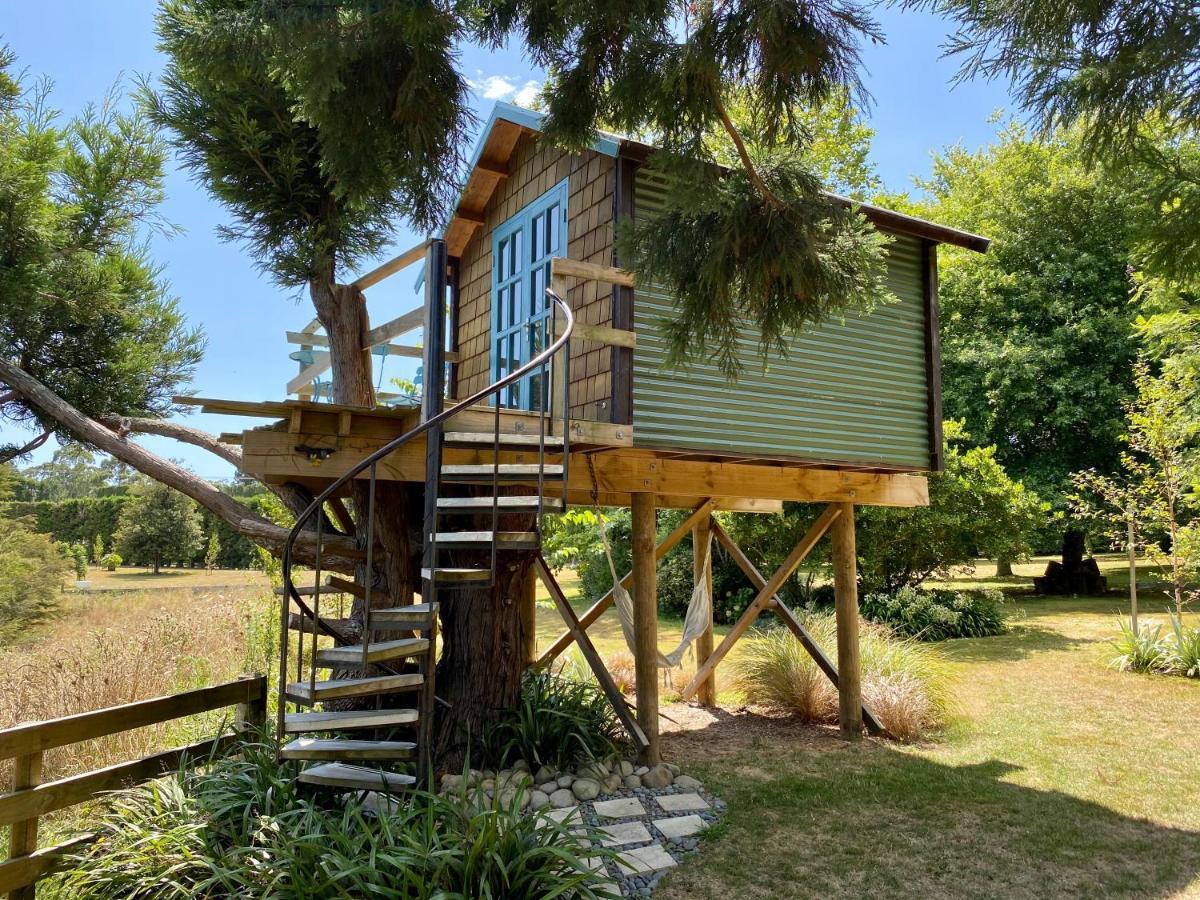 Aongatete Tui Ridge Eco Cabins מראה חיצוני תמונה